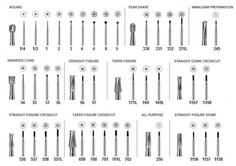 FG Carbide Burs Dental Burs, Dental supplies